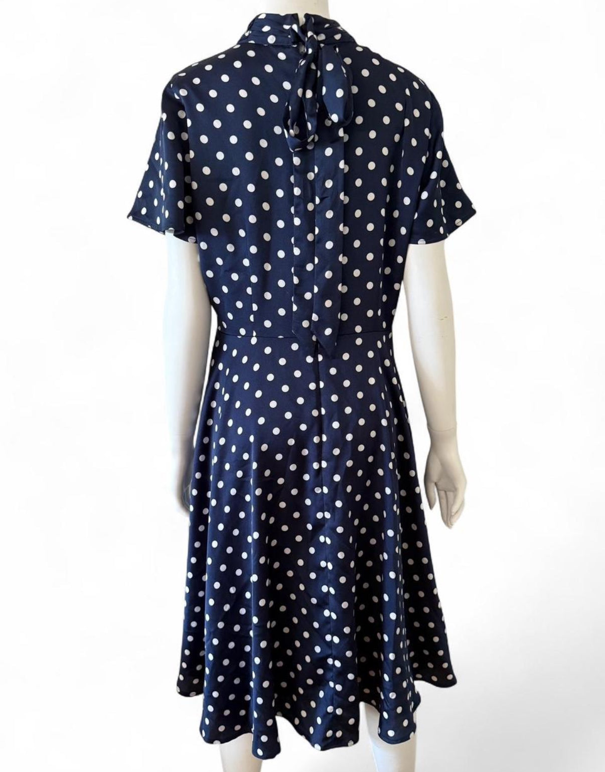 Review polka dot dress with neck tie
