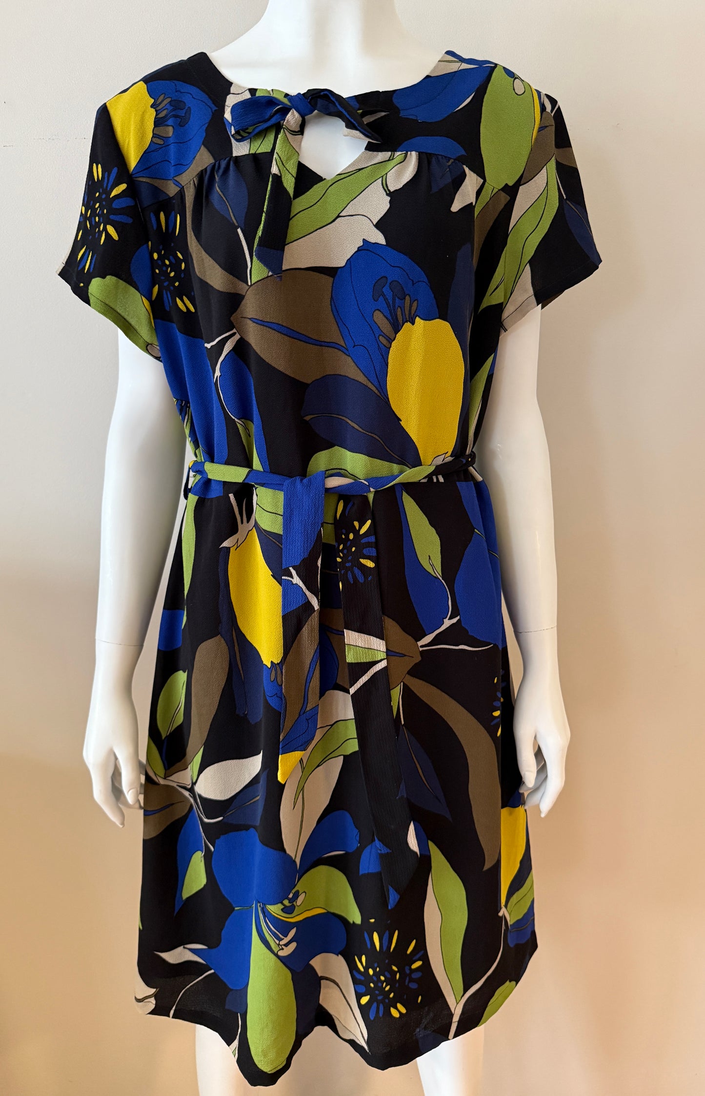 Hey Jude vintage dress