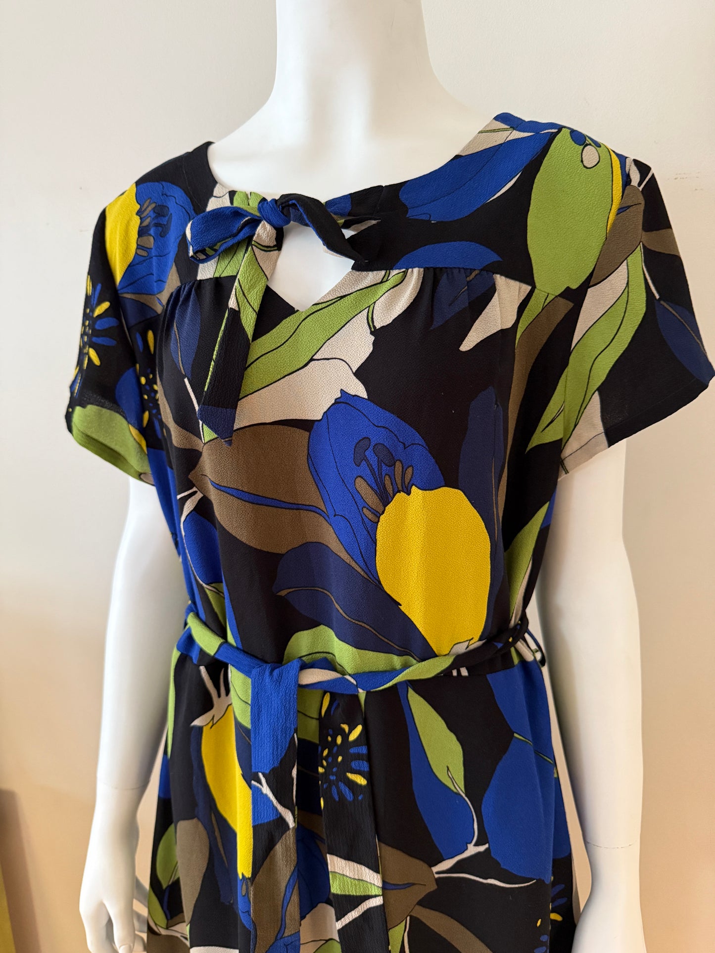 Hey Jude vintage dress